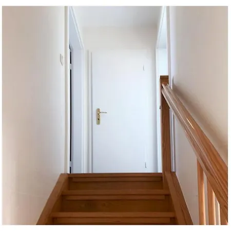 Papillon Whg 16 6 볼텐하겐